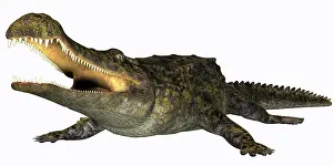 Sarcosuchus: Sarcosuchus crocodyliform from the prehistoric era