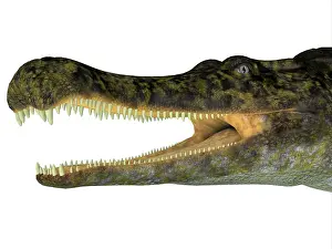 Menacing: Sarcosuchus reptile headshot