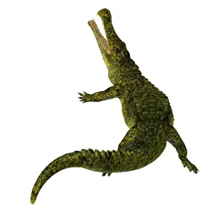Menacing: Sarcosuchus reptile, rear view
