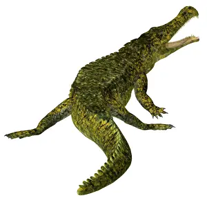 Menacing: Sarcosuchus reptile, rear view