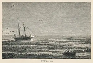 Tract: SARGASSO SEA