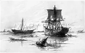 Tract: SARGASSO SEA (BURNS)