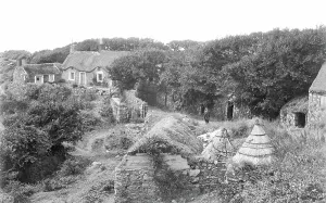 Disrepair: Sark, TregondAce c1890