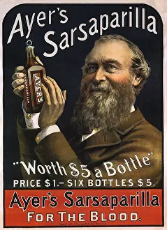 Sarsaparilla: Sarsaparilla Ad