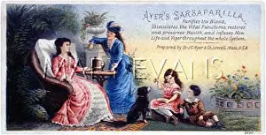 Preserves: SARSAPARILLA ADVERT CARD