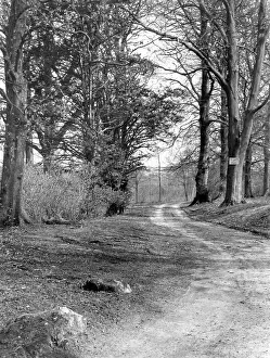 Trackway: SARSGROVE WOOD TRACKWAY