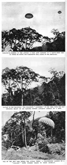 Malayan: S.A.S. parachute practice in the jungle