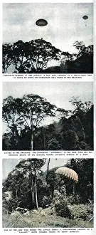Malayan: S.A.S. parachute practice in the jungle