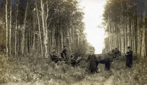 Buggy: Saskatchewan, Canada - Hudson Bay Junction
