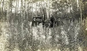 Buggy: Saskatchewan, Canada - four men with buggy