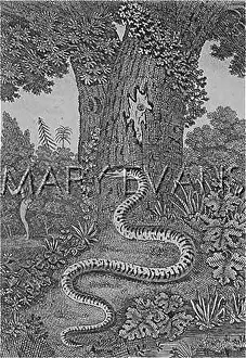 Sneaks: SATAN THE SERPENT