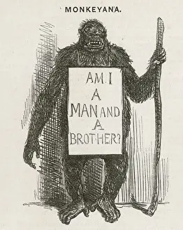 Satirised: Satire of Charles Darwin