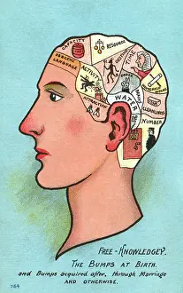 Phrenology: Satire on Phrenology
