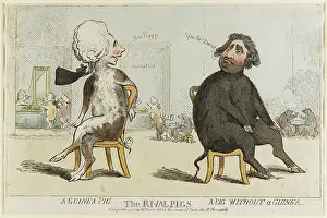 Powdered: Satirical cartoon, The Rival Pigs