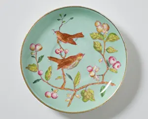 Saucer