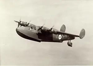 Shrimp: Saunders-Roe A37 ~Shrimp G-AFZS