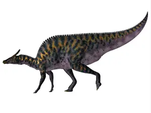 Saurolophinae: Saurolophus dinosaur, side profile