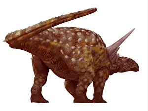 Ugliness: Sauropelta armored dinosaur
