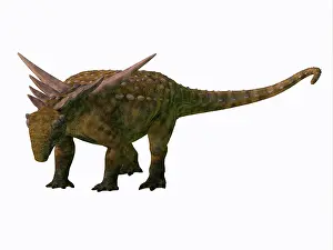 Thyreophora: Sauropelta armored dinosaur, on white background