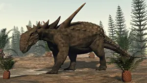 Ankylosauria: Sauropelta dinosaur roaming