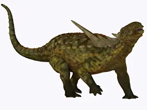 Ankylosauria: Sauropelta, a herbivorous dinosaur from the Cretaceous ?