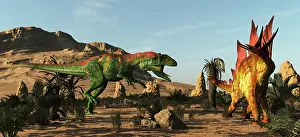 Vulnerability: A Saurophaganax dinosaur attacks a Stegosaurus