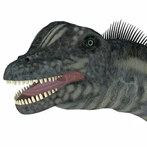 Titanosaur: Sauroposeidon dinosaur portrait