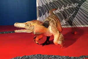 Coelurosaur: Saurornitholestes