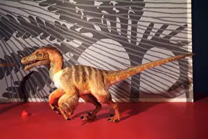 Coelurosaur: Saurornitholestes
