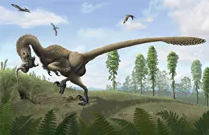 Burrow: Saurornitholestes seeks prey in burrows