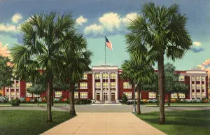 Chatham: Savannah High School. Savannah
