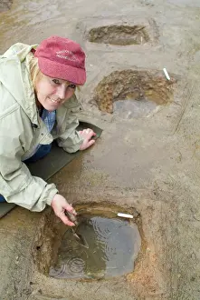 Pelt: Saveock Water