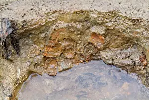 Membranes: Saveock Water