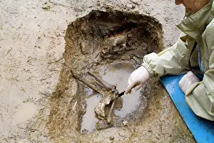 Saveock: Saveock Water