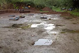 Mesolithic: Saveock Water