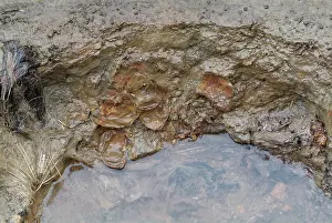 Membranes: Saveock Water