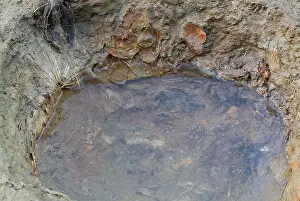 Membranes: Saveock Water