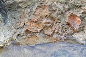Membranes: Saveock Water