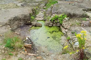 Saveock: Saveock Water