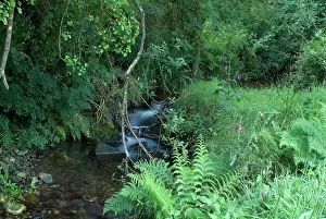 Saveock: Saveock Water