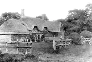 Savernake: Savernake, Brown's Farm 1908