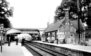Savernake: Savernake, Forest Station 1907
