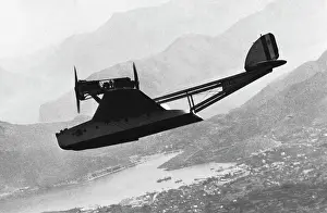 In Flight: Savoia Marchetti S-55 Flying Boat