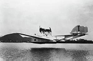 In Flight: Savoia Marchetti S-55 Flying Boat