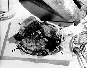 Aspic: SAVOURY ASPIC MOULDS