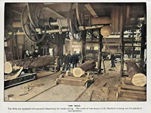 Planks: Saw Mills, Woolwich Arsenal