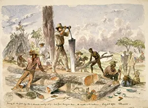 Sawing: Sawing up - the first log