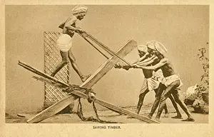 Saws: Sawing Timber - India