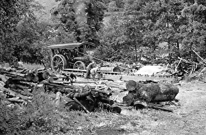 Sawmill: A sawmill powered by traction engine, hand coloured photo