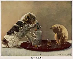Whiskey: SAY WHEN - DAVID DUGGINS